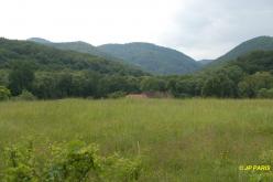 Hongrie, Bukk Hills